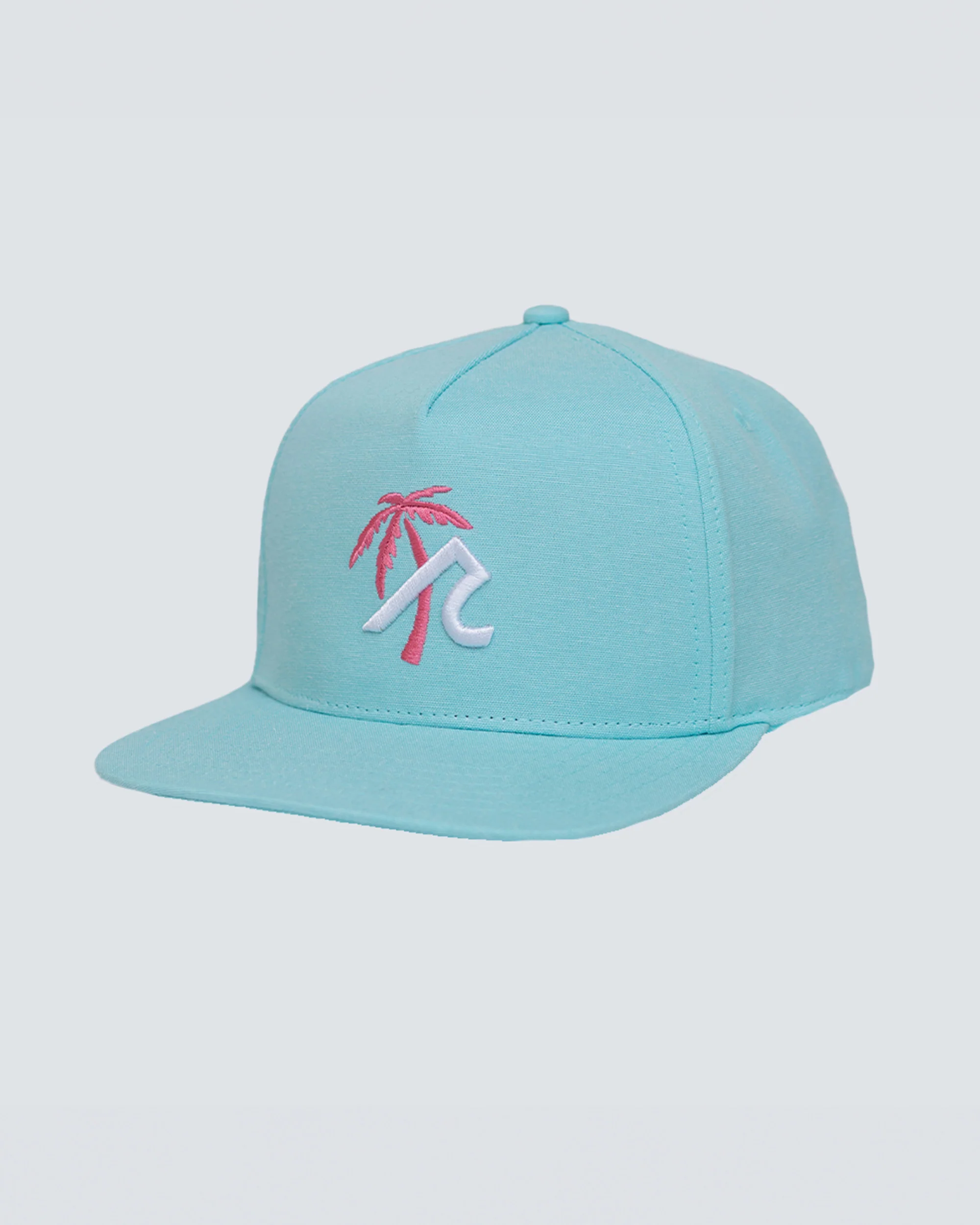 Palm R Hat in Pool